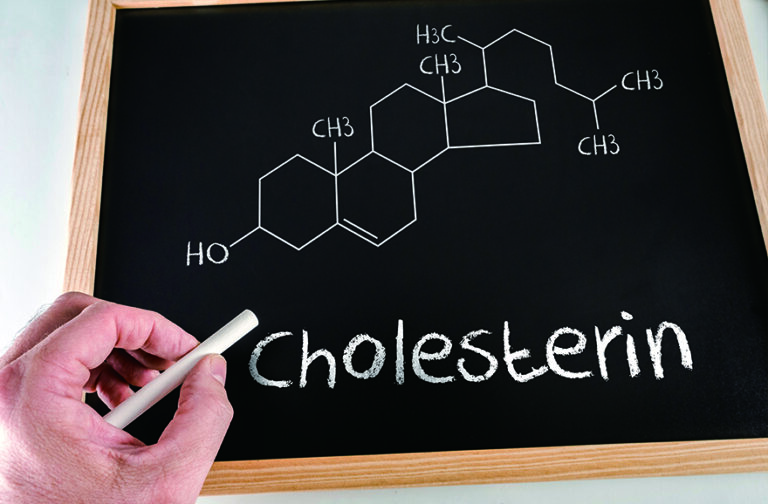 What is cholesterol?