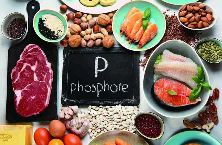 Phosphorus: The Bone Fortifier